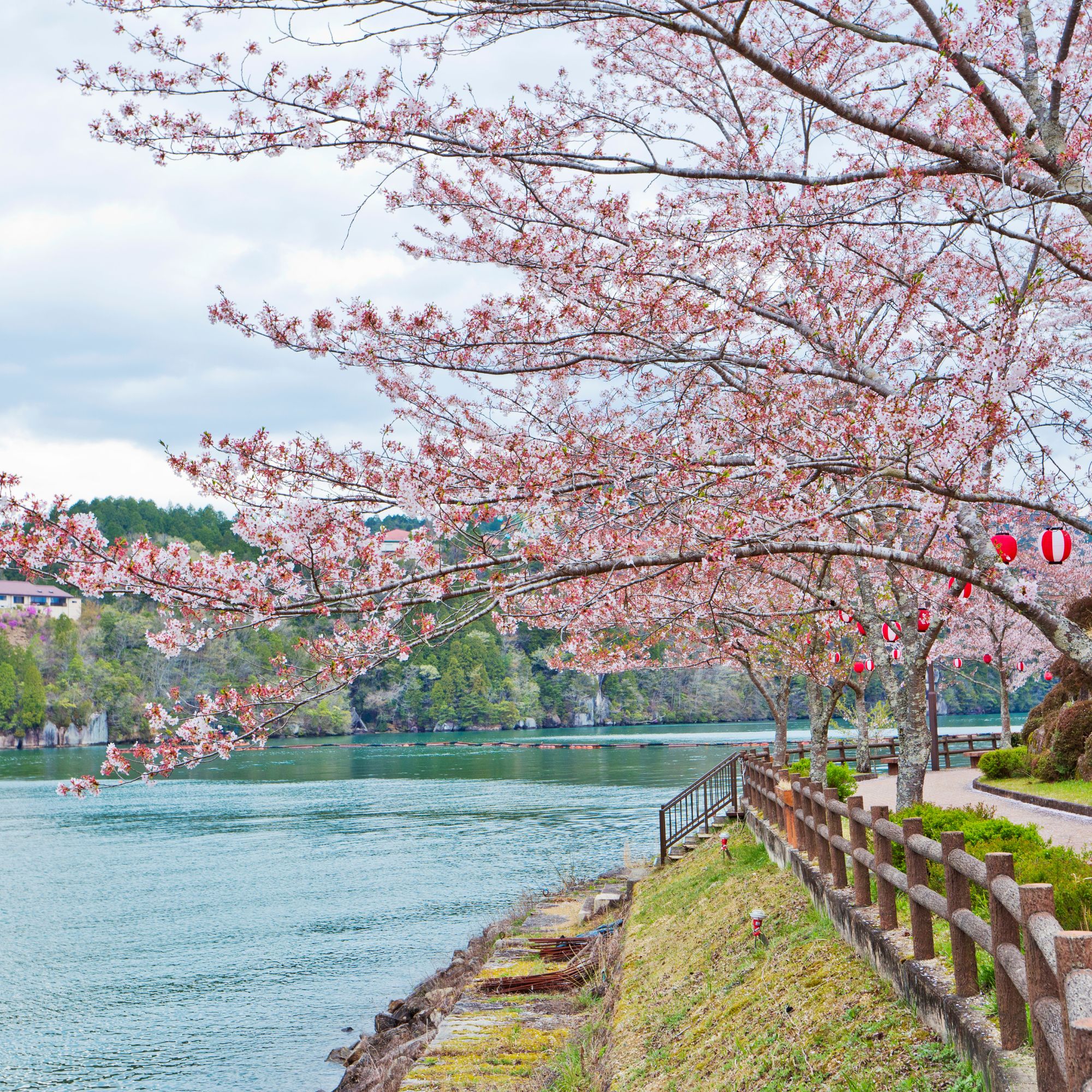 tinh-gifu-nhat-ban